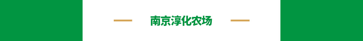 南京淳化农场